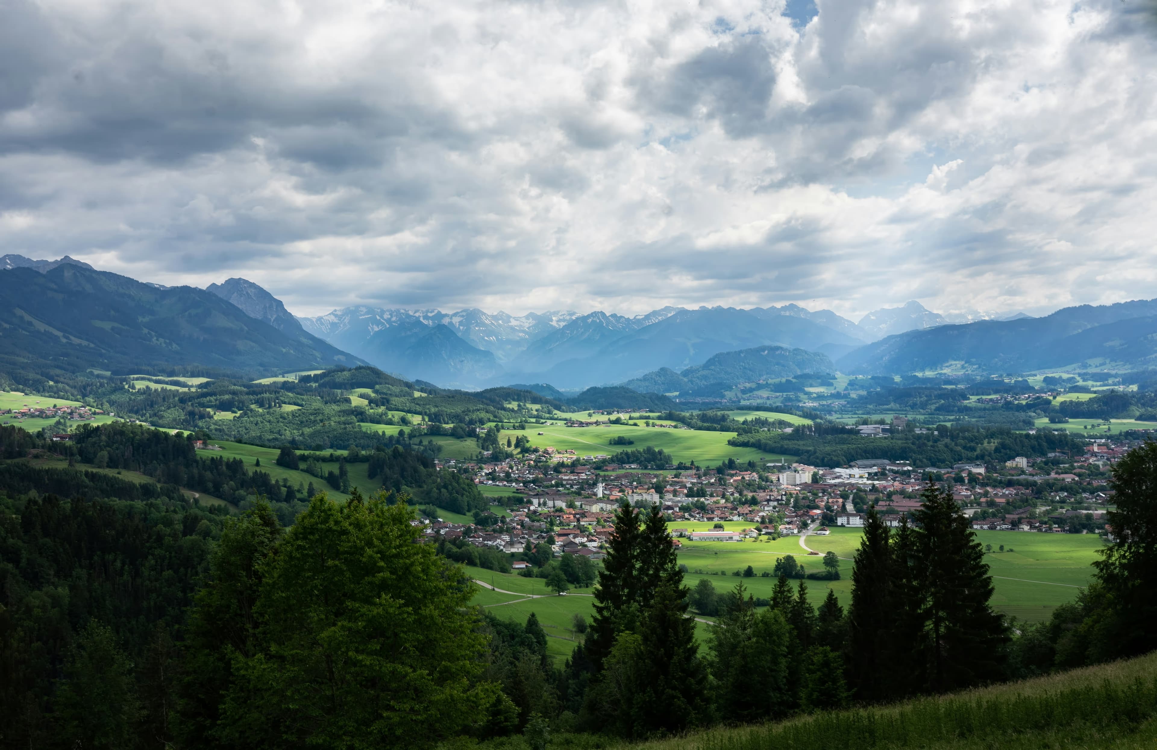 Allgäu Landscape Detail